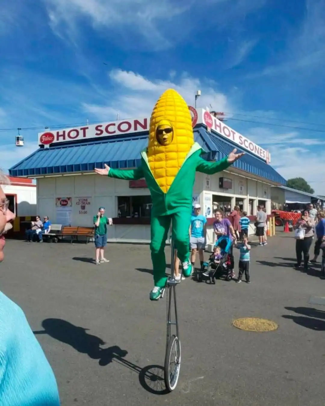 Together on the Cob: A Corny Adventure