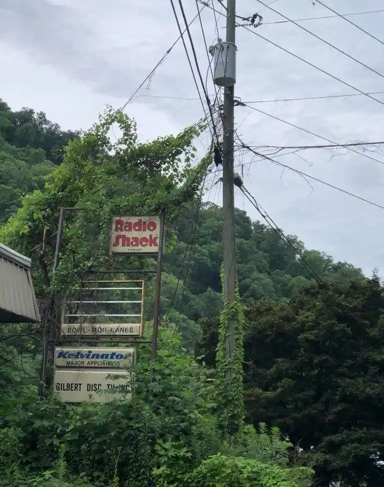 A weathered, overgrown sign for a former Radio Shack store stands amidst dense green foliage, with additional faded signs…