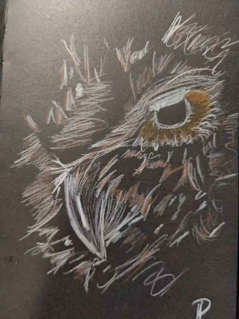 A chalk drawing on dark paper depicts a stylized, fierce-looking animal eye with orange and white fur-like strokes radiating…