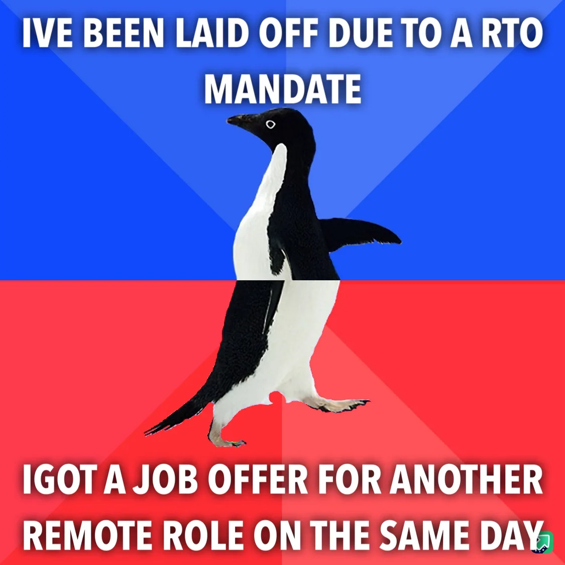 A black-and-white penguin walks across a split blue and red background. The top text reads 'IVE BEEN LAID OFF DUE TO A RTO…