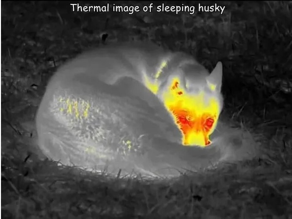This is some serious insulation work!