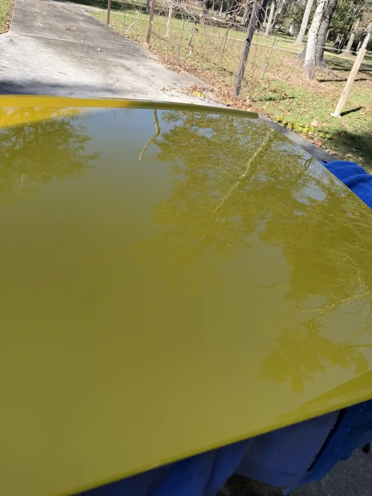 A close-up shot of a highly polished, mustard-yellow car hood reflecting bare tree branches and sky, with a blue towel…