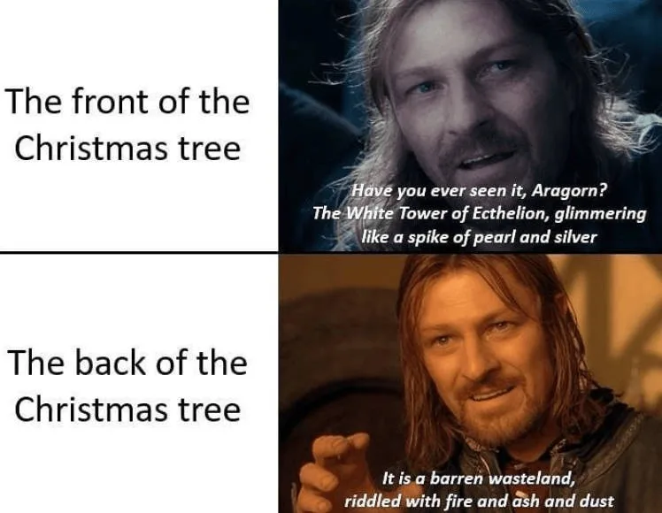 The image is a two-panel meme using scenes from 'The Lord of the Rings'. The top panel shows Aragorn looking earnestly at…