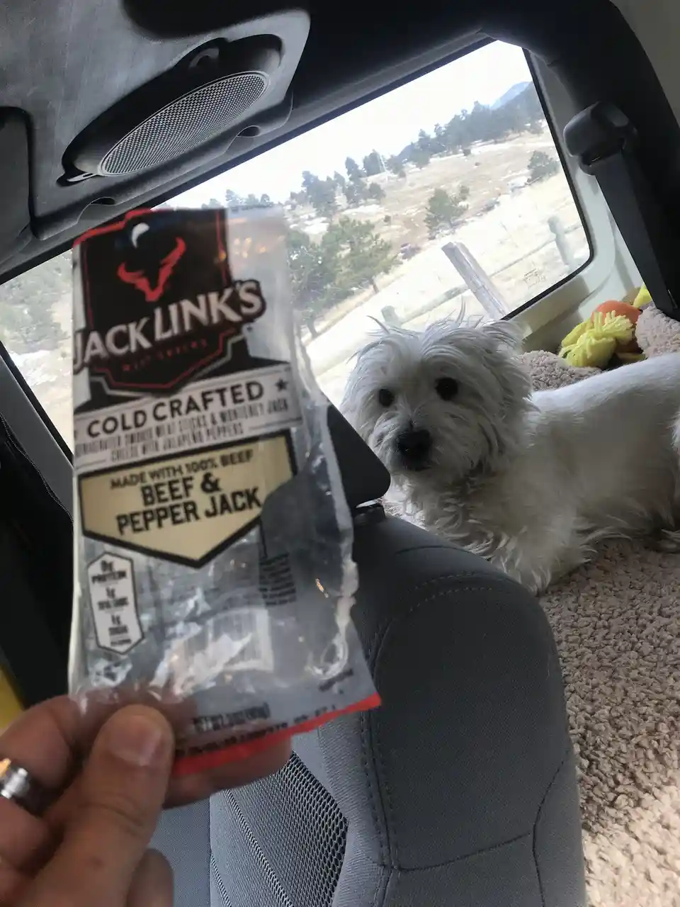 A hand holds a package of Jack Link's Beef & Pepper Jack meat snacks inside a vehicle, with a small white fluffy dog sitting…