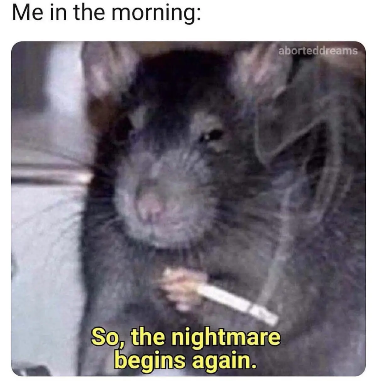 A blurry, low-resolution image of a dark-furred rat holding a cigarette in its mouth, looking directly at the camera with a…