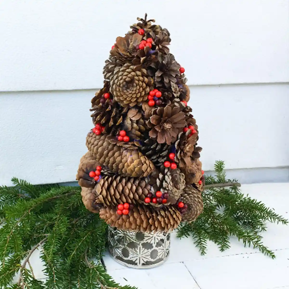 What Type of Tree Are We Looking At?