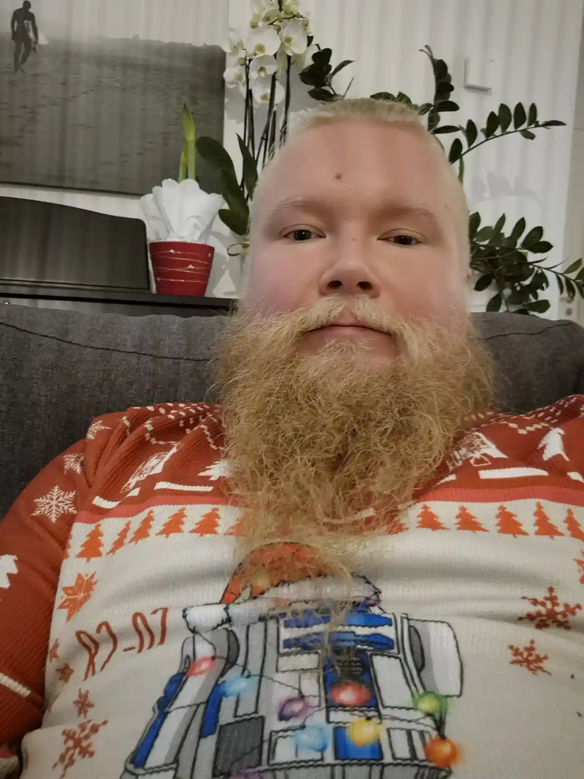 A person with blonde hair and a long, full blonde beard sits on a gray couch wearing a red and white holiday sweater…