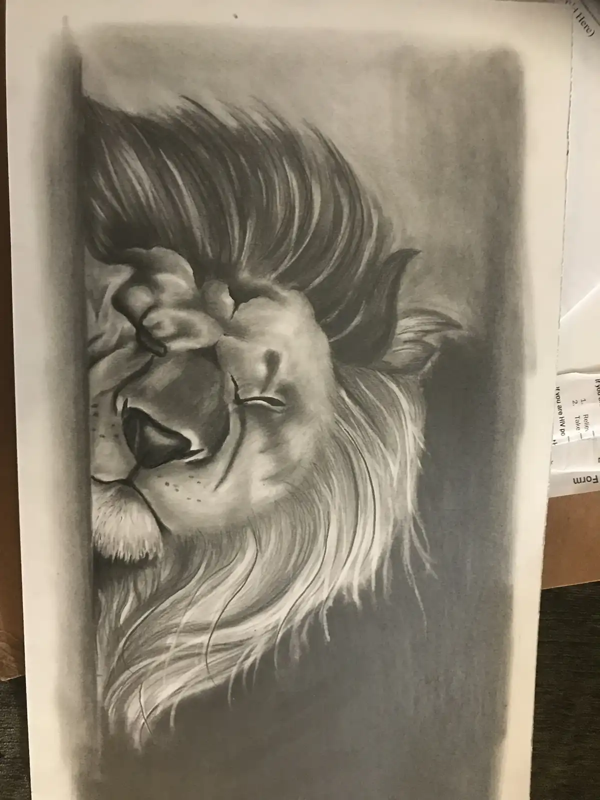 A detailed pencil sketch of a lion's head, rendered in grayscale, shows the animal with its eyes closed and mane flowing…