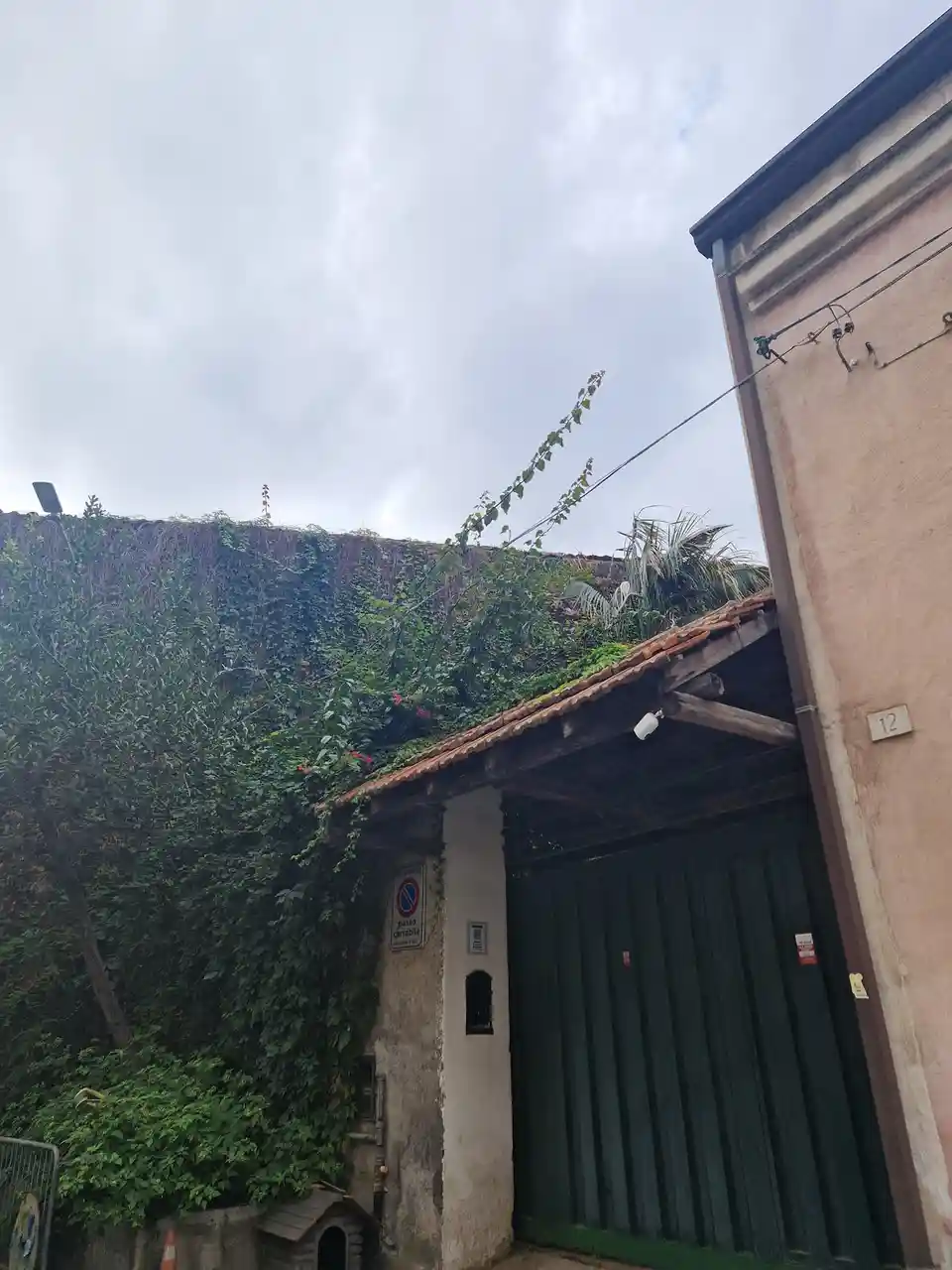 A low-angle photo shows a narrow alleyway with a green metal gate and a building wall covered in dense green ivy and vines…