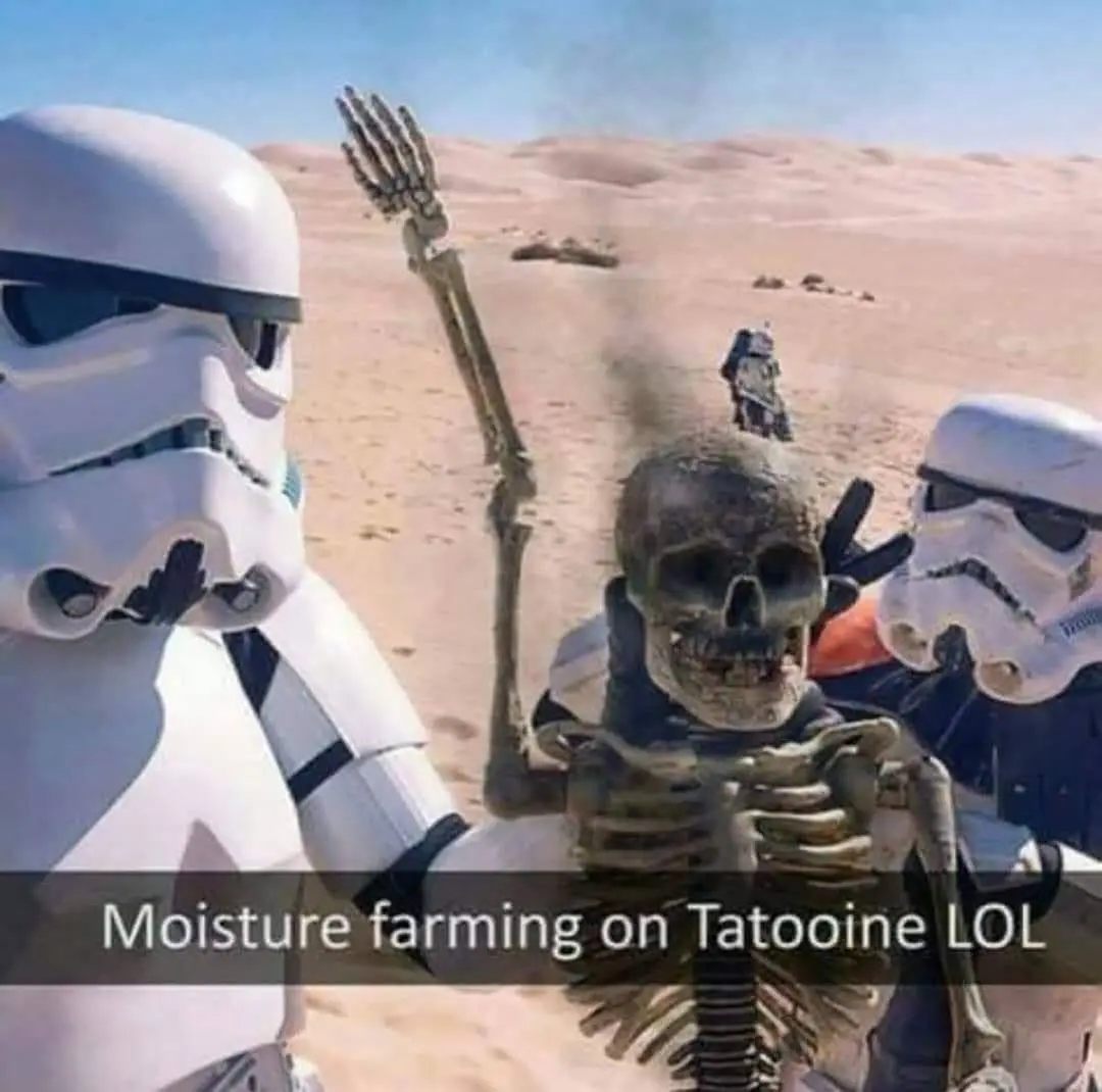 Two stormtroopers stand in a desert next to a skeleton that is holding a moisture vaporator, with a droid visible in the…