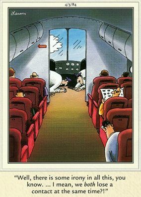 A comic strip panel shows the interior of an airplane with rows of red seats. Two passengers are seated in the foreground…