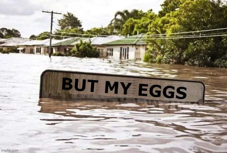 A street sign partially submerged in floodwater, with houses visible in the background under an overcast sky. The sign reads…