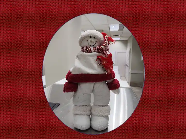 A plush snowman doll wearing a red and white scarf and hat stands on a stainless steel countertop in what appears to be an…