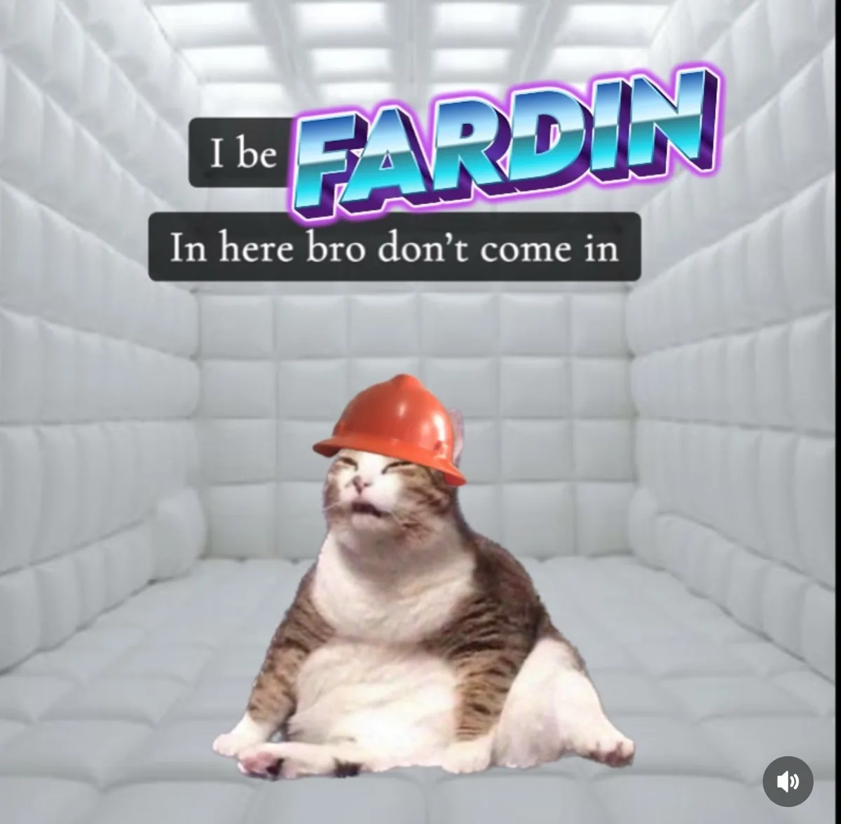 A fat tabby cat wearing an orange hard hat sits in a white padded room, looking smug and unbothered. Overlaid text reads 'I…