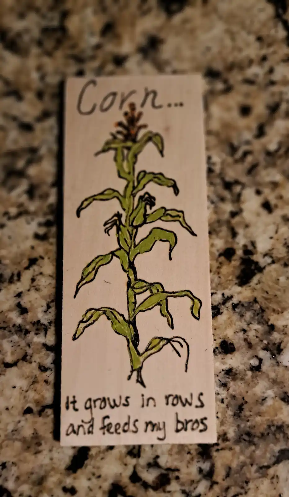 A hand-drawn illustration of a corn plant on a wooden plaque, placed on a speckled countertop. The text at the top reads…