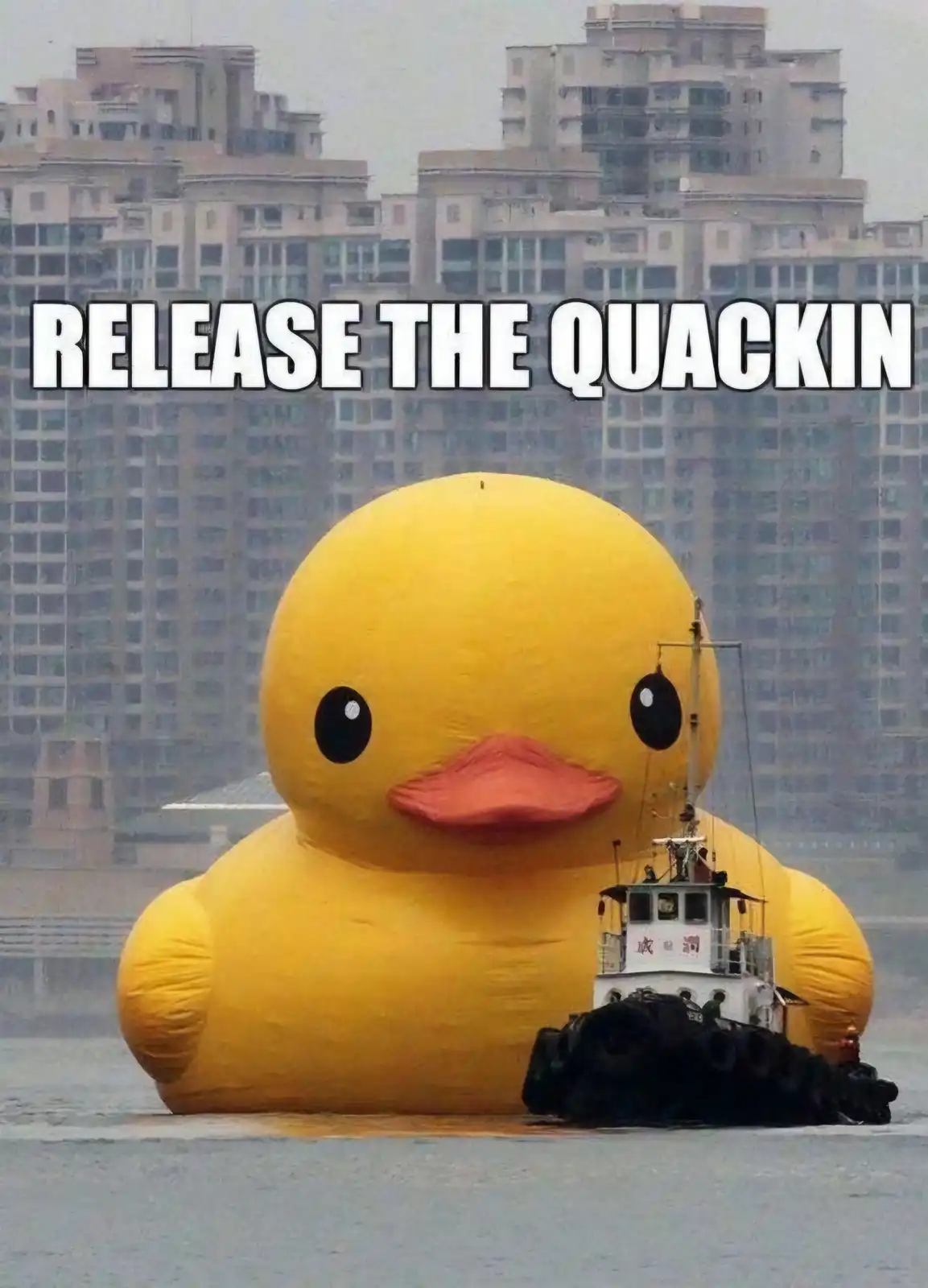 Enjoy Some Memes as a Special Treat Today