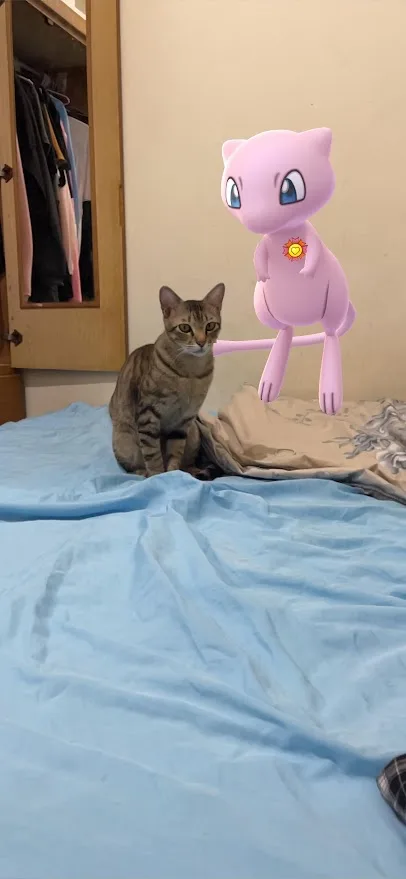 When Cats and Pokémon Collide: A Cuteness Overload