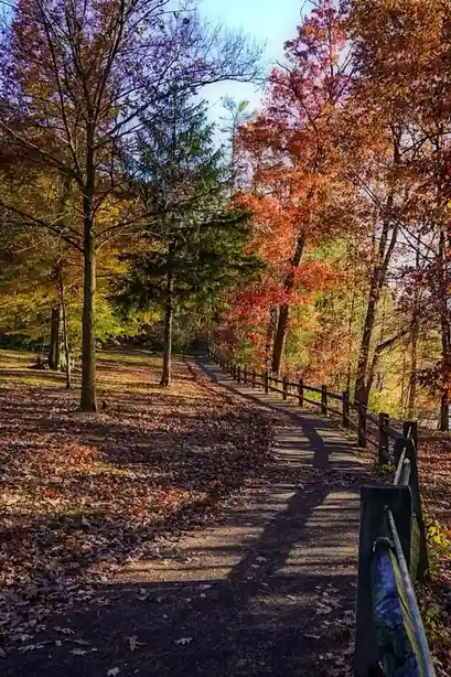 The journey ahead: a winding path
