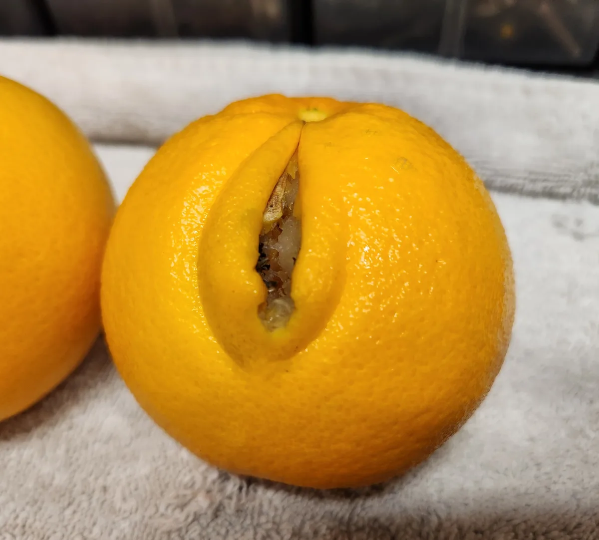 Chill out, Oranges! No need to get worked up!