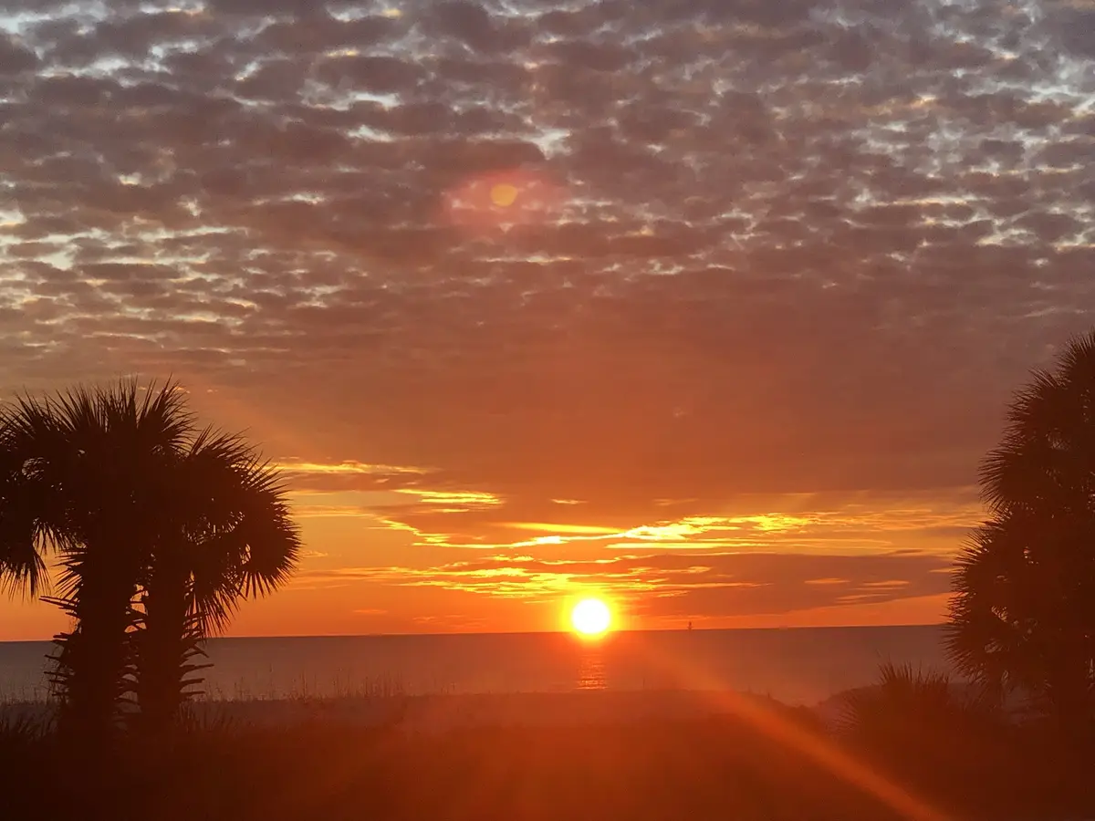 A scenic photograph of a vibrant orange and red sunset over the ocean, framed by the dark silhouettes of two palm trees on…