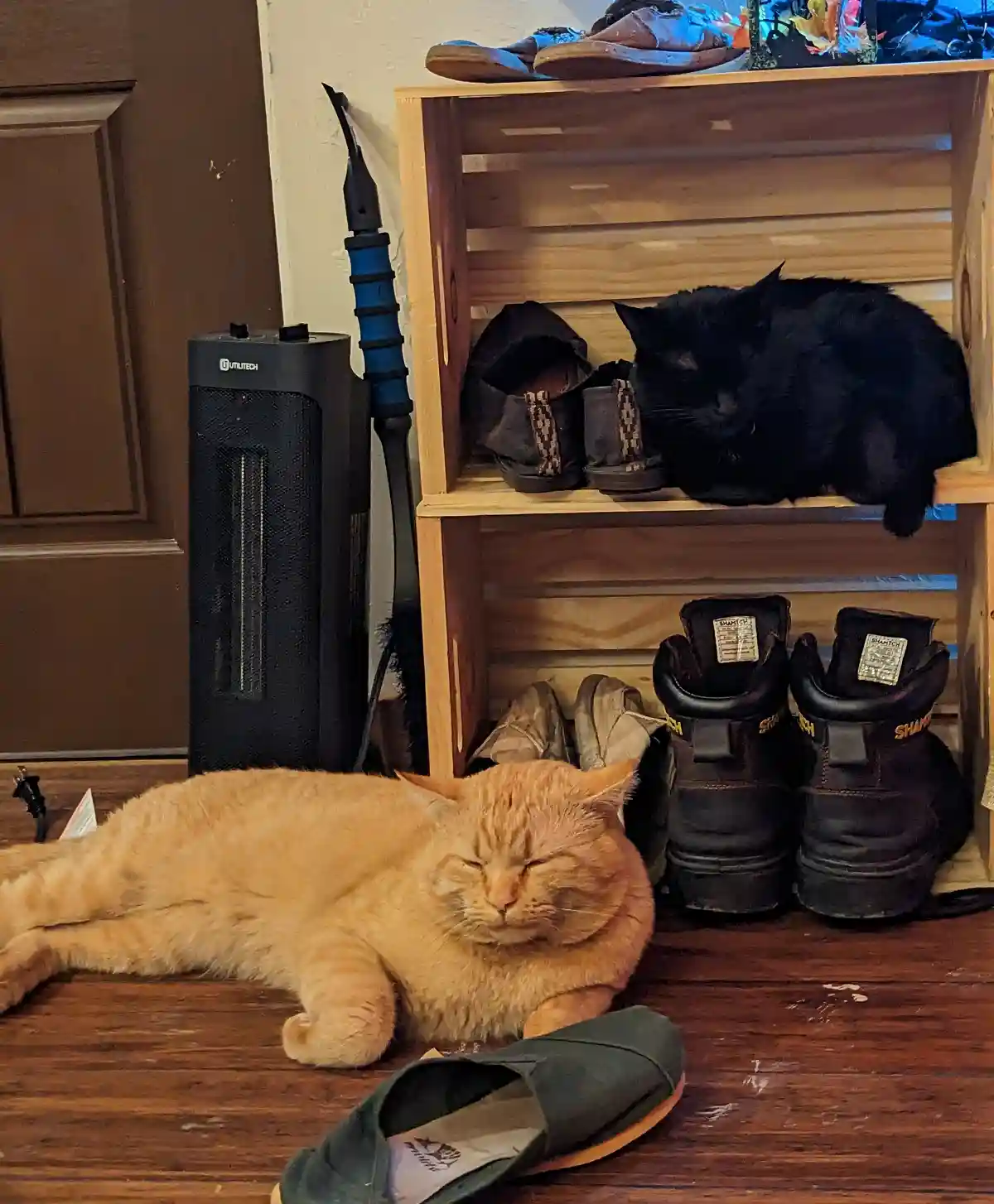 An orange tabby cat sleeps peacefully on a wooden floor next to a shoe rack, while a black cat sleeps on the top shelf of…