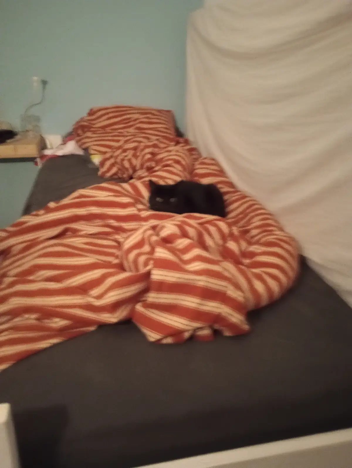 A black cat is peeking out from under a rumpled orange and white striped blanket on a bed with a gray mattress and white…