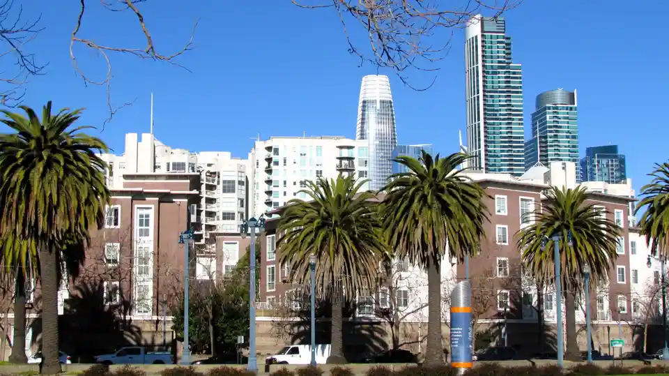 A sunny urban scene with palm trees in the foreground, multi-story buildings, and a modern city skyline under a clear blue…