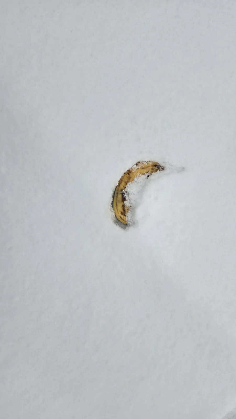 A single yellow banana with brown spots is partially buried in a thick layer of white snow, with only its curved shape…
