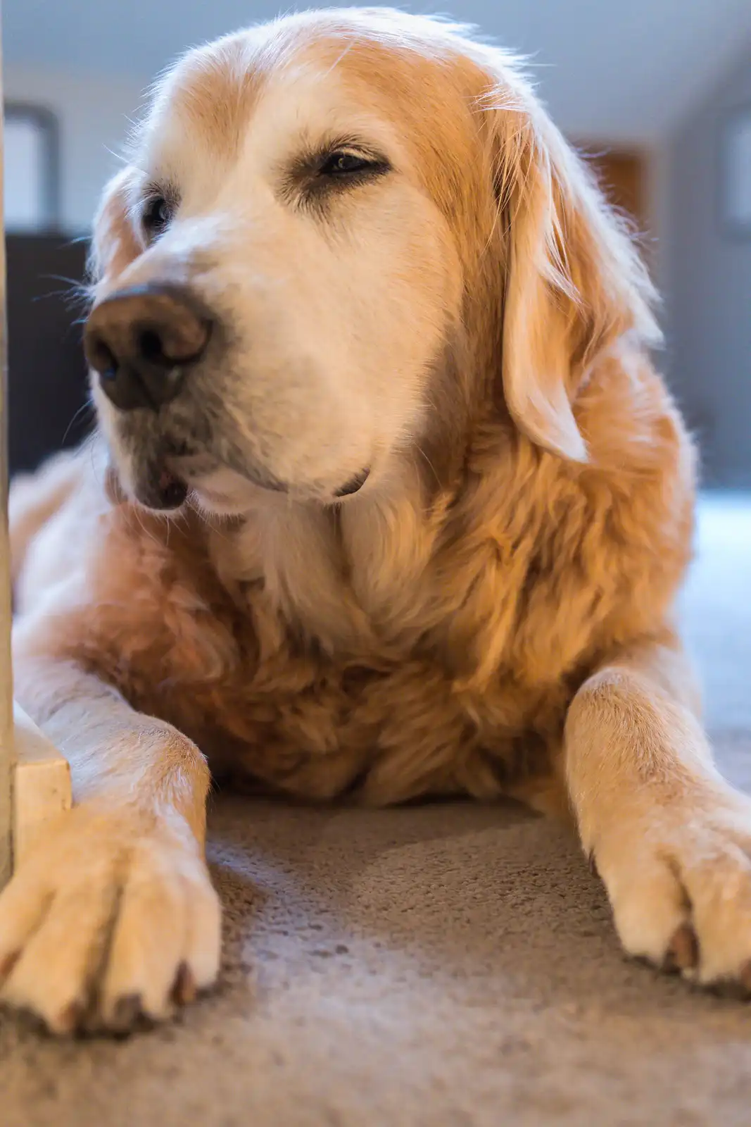This One Perfectly Captures His Cooper Essence