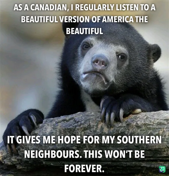 A black bear with a sad, resigned expression rests its paws on a log. White text overlaid in two blocks reads: 'AS A…