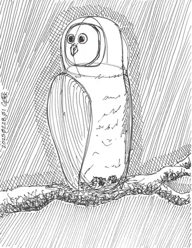 A black-and-white line drawing shows a cartoonish owl with large eyes and a small beak, standing on a grassy patch. The…