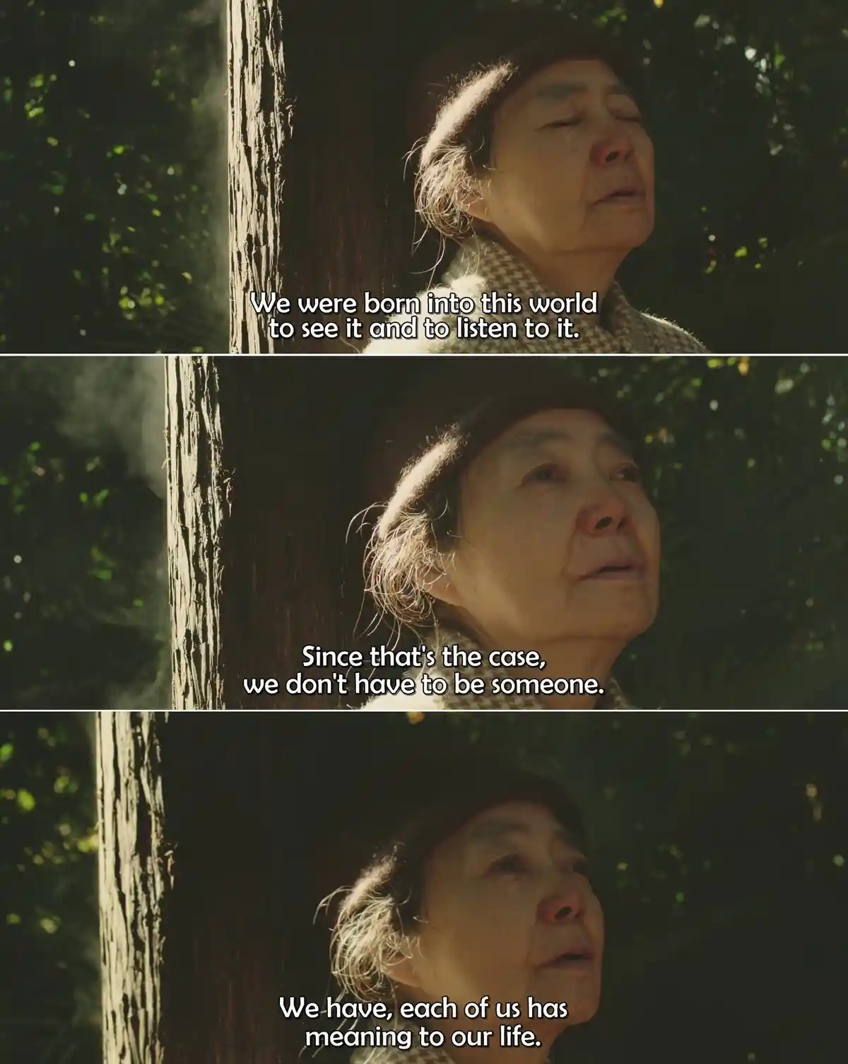 A three-panel image shows an elderly woman with a serene expression, standing outdoors near a tree trunk with sunlight…