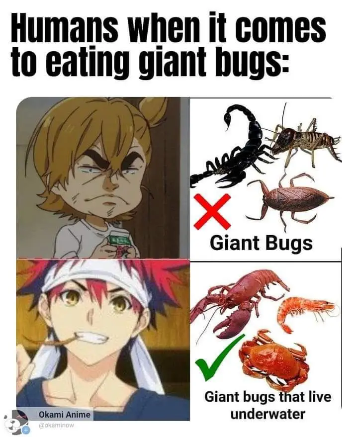 The image is a two-panel meme featuring anime characters. The top panel shows a character with a disgusted expression next…
