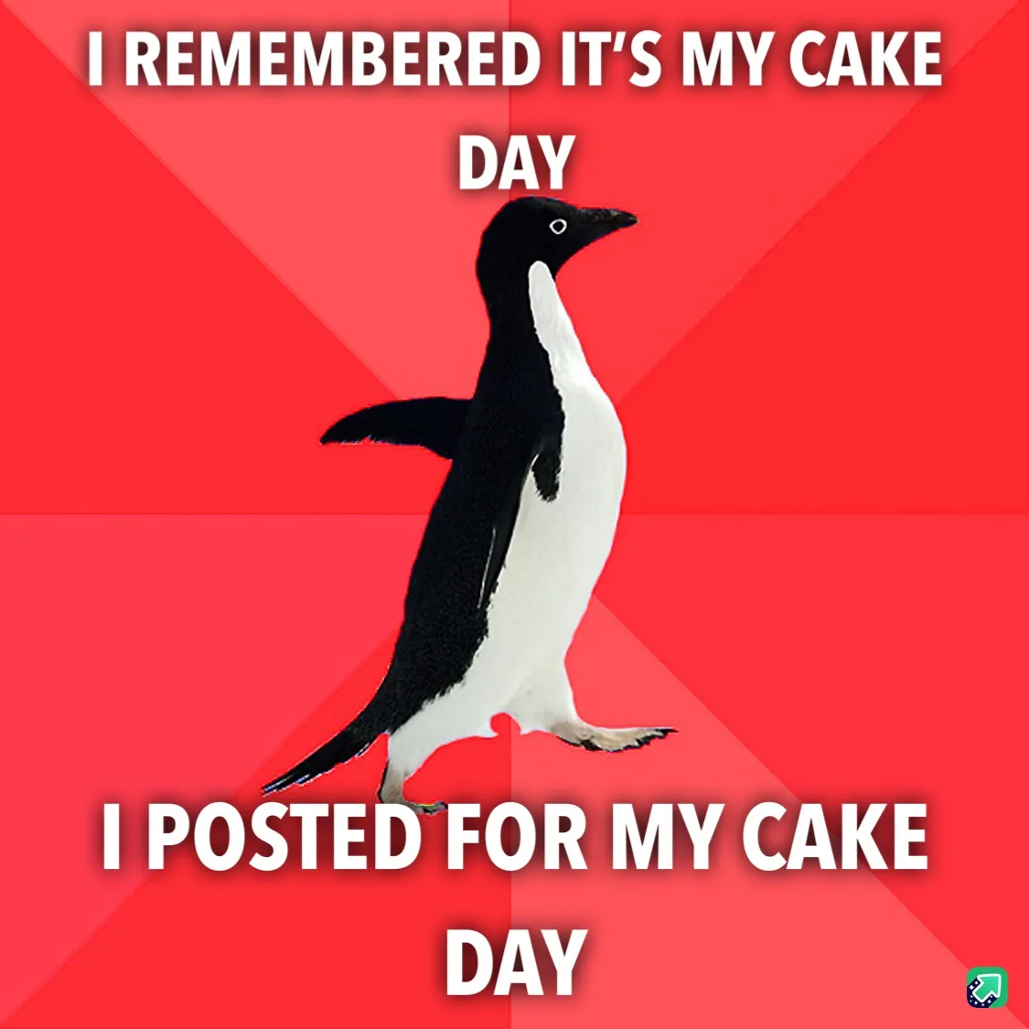 Celebrating Cake Day!