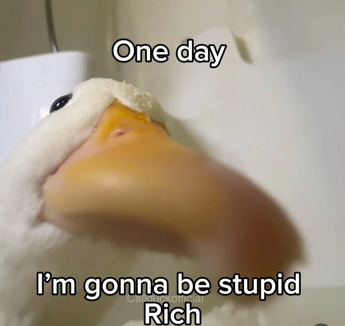 A close-up image of a white plush duck toy with a large orange beak, looking upward. The text overlay reads 'One day' at the…
