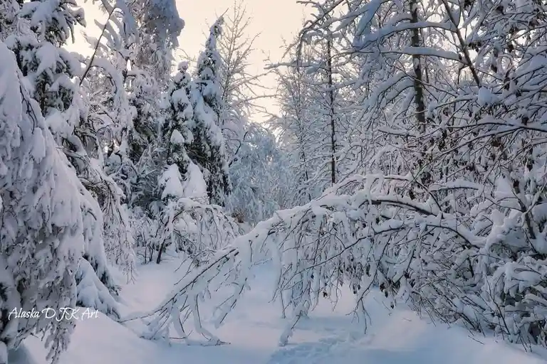 A serene winter forest scene with snow-covered trees and branches, featuring a narrow path through the woods under a pale…