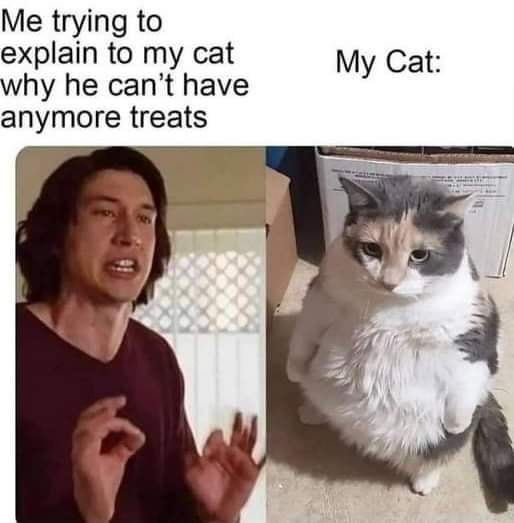 The image is split into two panels. Left: Adam Driver looking earnest and pleading with his hands gesturing. Right: a…