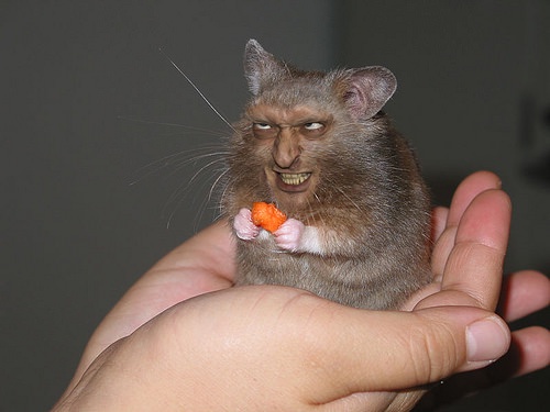 a small brown rodent, likely a rat or mouse, is held in a person's open palm. The rodent has been digitally edited to have a…