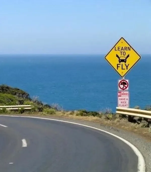 A yellow diamond-shaped road sign on a coastal highway reads 'LEARN TO FLY' with a car icon and wings. Below it, a red 'NO…