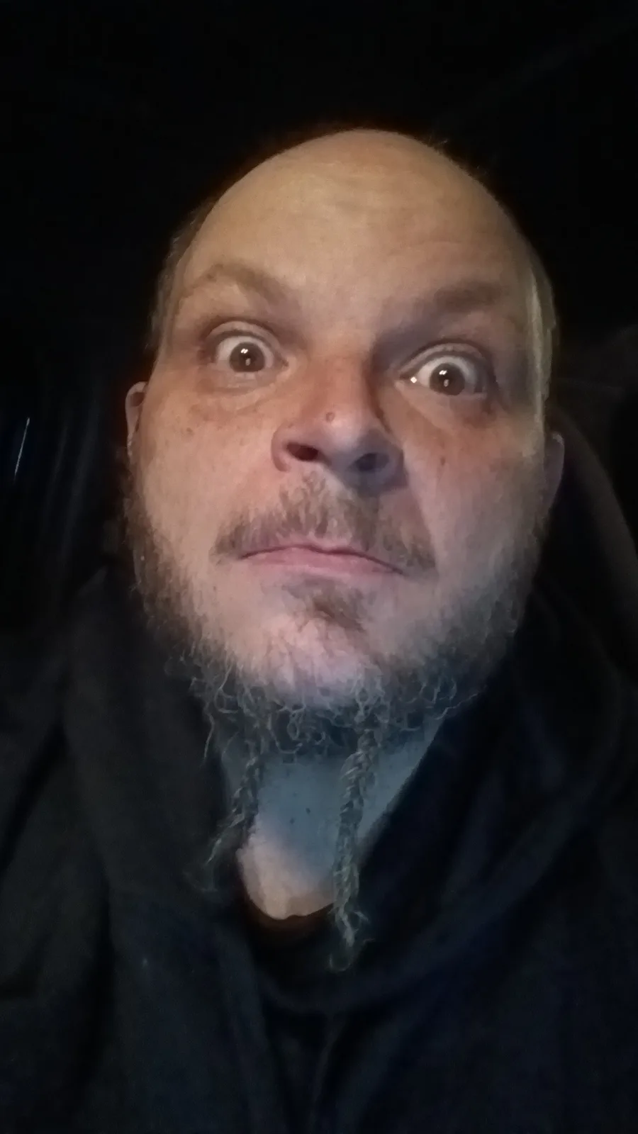 A close-up selfie of a bald man with a goatee and a long, thin beard hanging down his chest, looking directly at the camera…