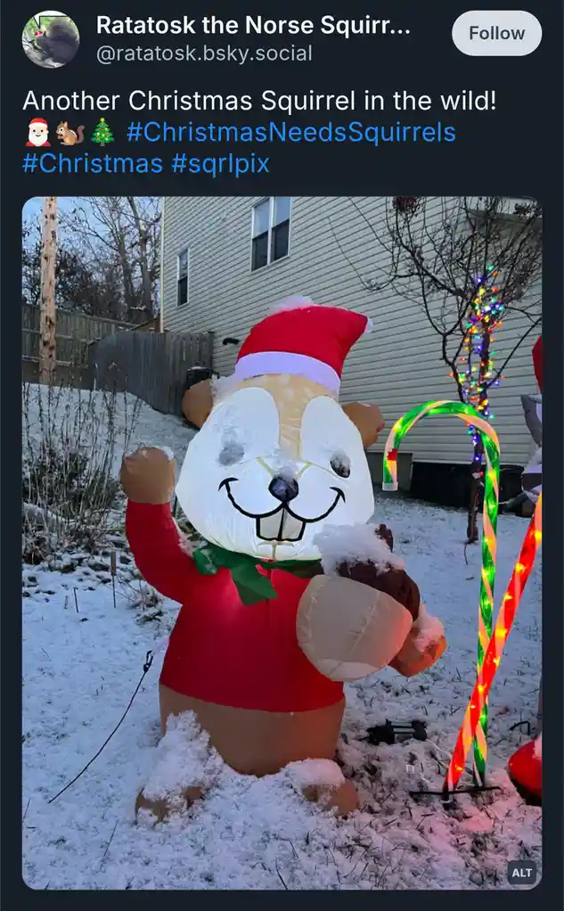 A large, inflatable Christmas squirrel wearing a red Santa hat and red sweater stands in a snowy yard, holding a…