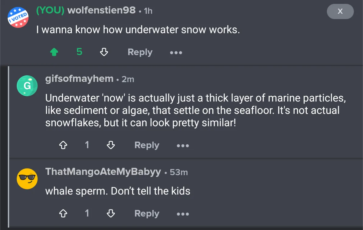 A Reddit comment thread where a user asks about 'underwater snow,' a reply explains it's sediment or algae, and a third…