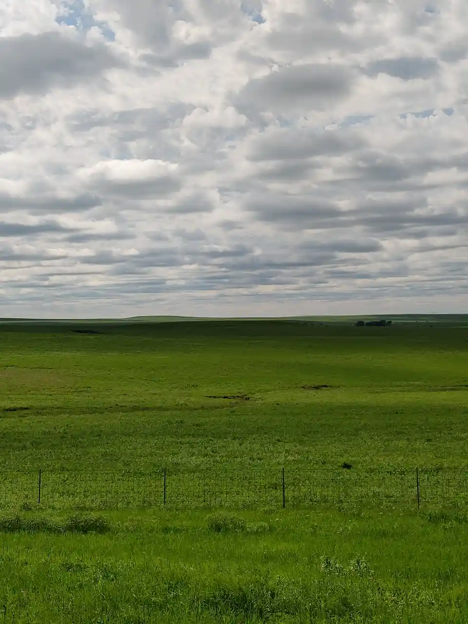 Exploring the Beauty of Flint Hills