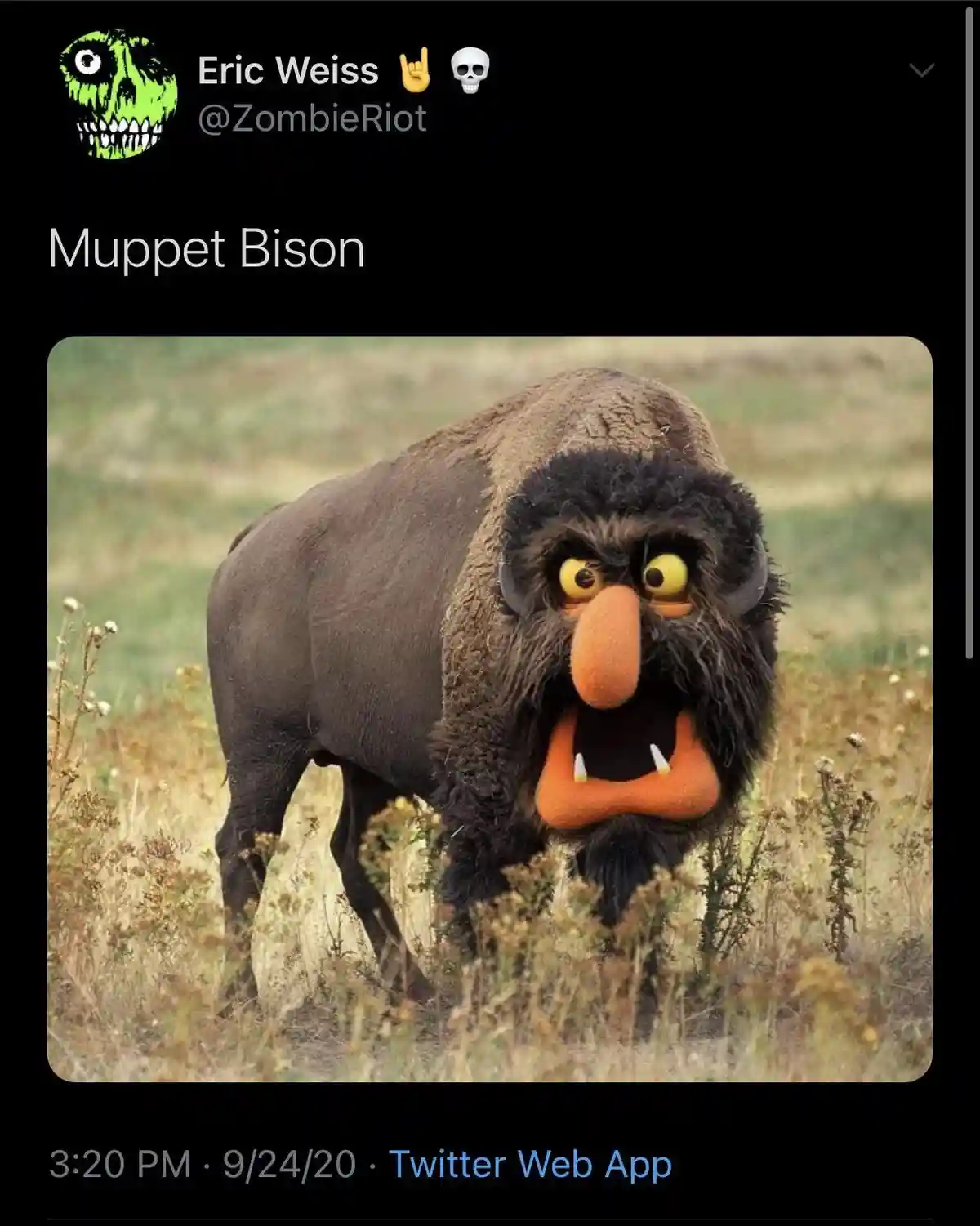 A real bison stands in a grassy field, but its head has been digitally replaced with the face of the Muppet character…