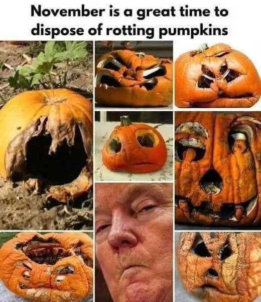 A collage of six images: five show various decayed, rotting pumpkins with holes and mold, and one central image is a…