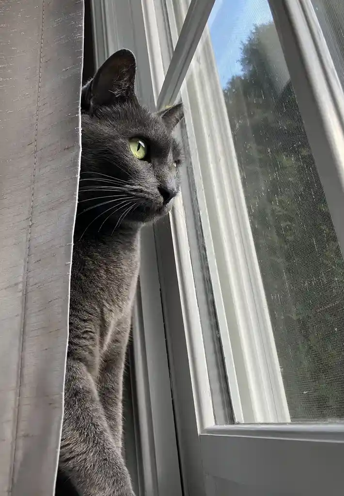 Your Daily Dose of Snickering: Pic #103