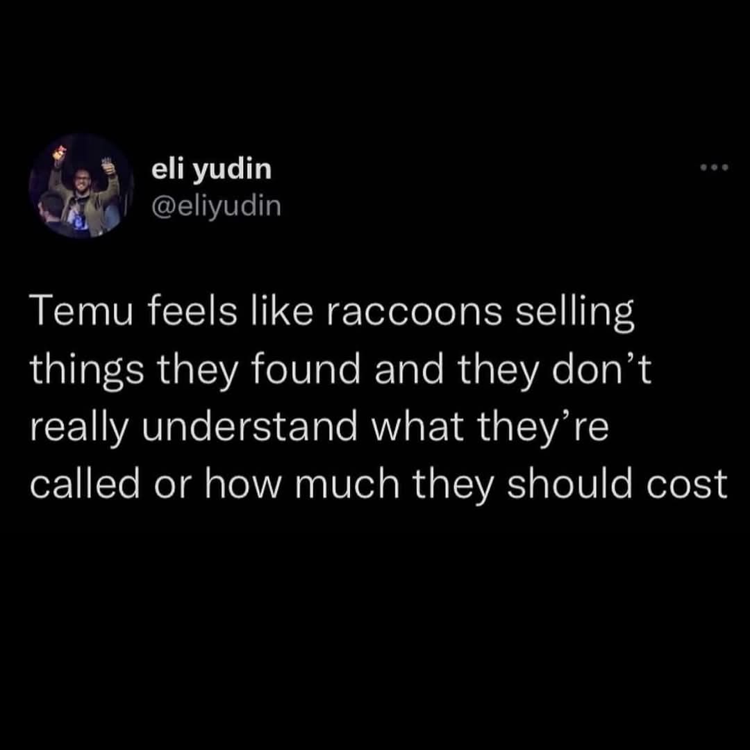 A screenshot of a tweet by user eli yudin (@eliyudin) with a black background and white text. The text reads: 'Temu feels…