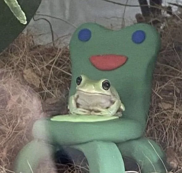 A real green frog sits on a green plastic chair shaped like a cartoon frog with blue eyes and a red smile. The frog appears…