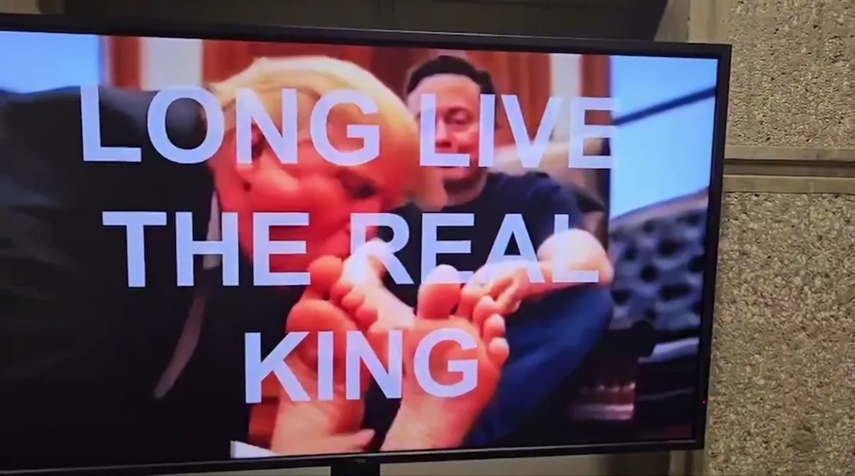 A television screen displays a photo of Elon Musk and a woman, with large white text overlaid that reads 'LONG LIVE THE REAL…