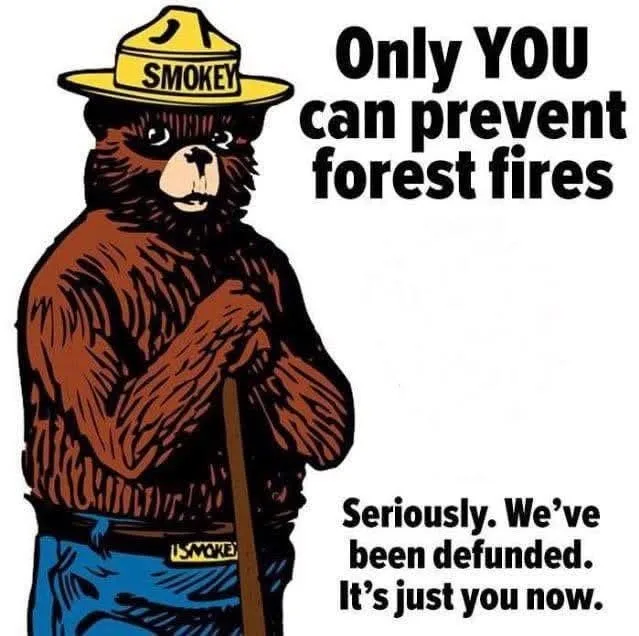 A cartoon illustration of Smokey Bear, a brown bear wearing a yellow ranger hat with 'SMOKEY' written on it and blue pants…
